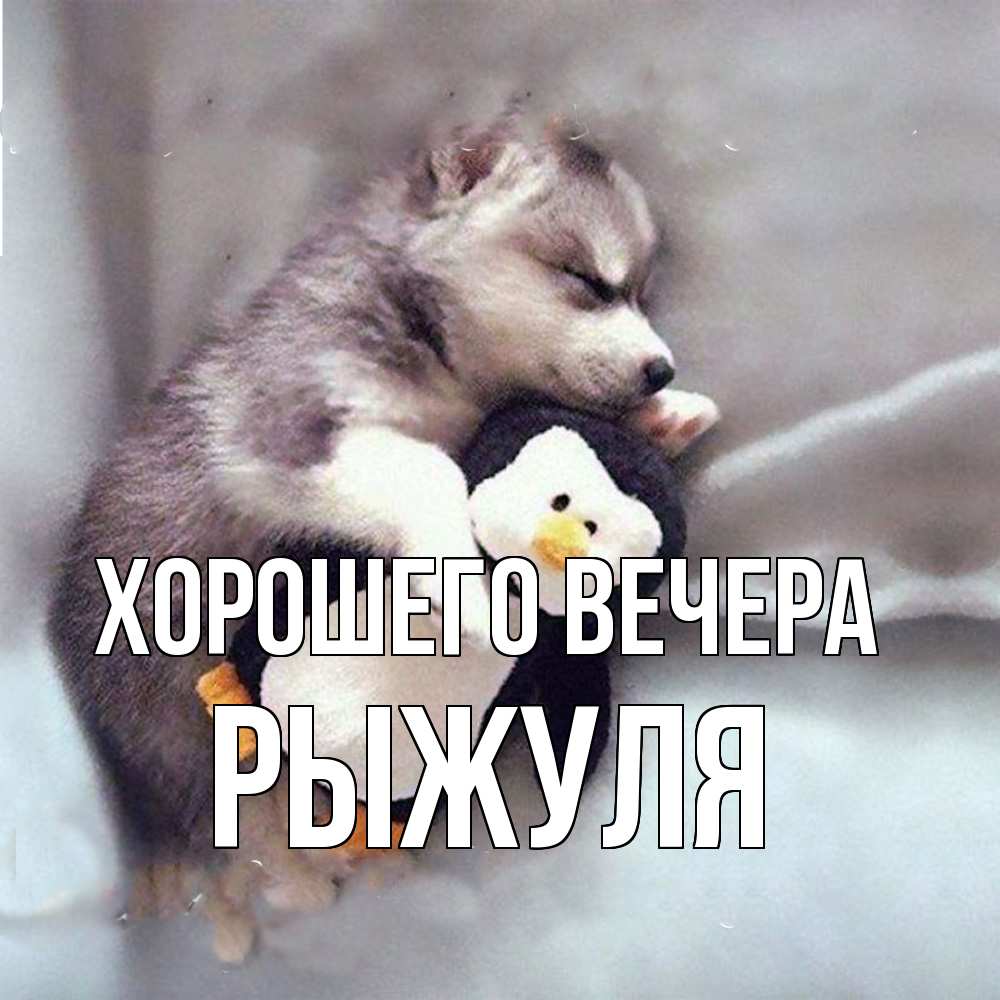 Картинка Хорошего вечера, рыжуля