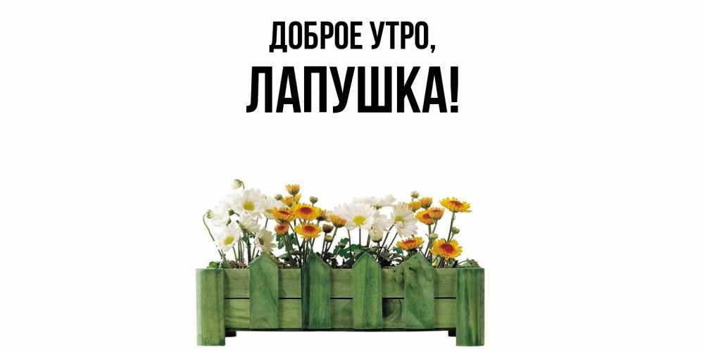 Открытка  для любимых и родных. лапушка, Доброе утро  