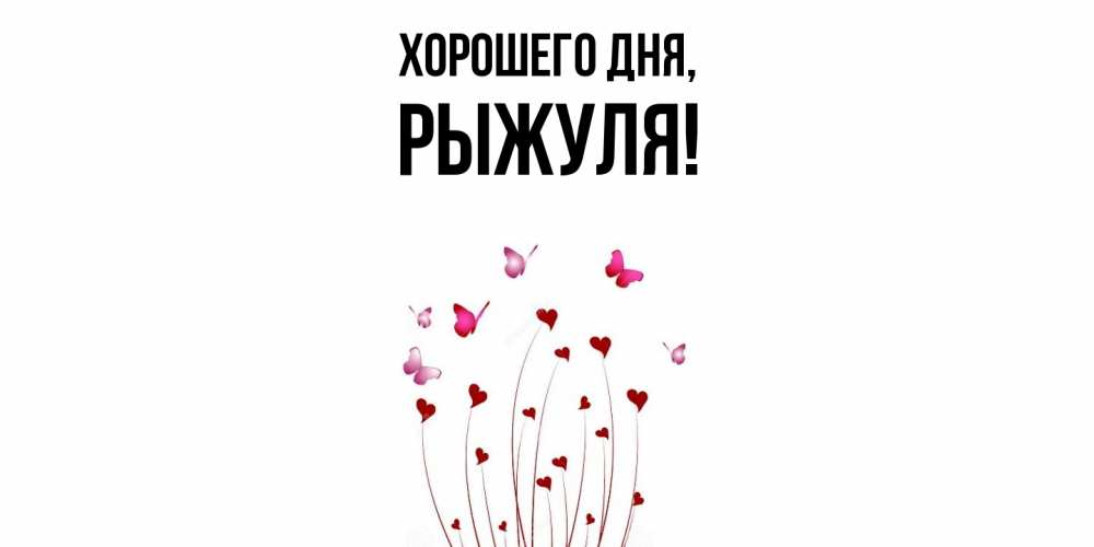 Открытка  для любимых и родных. рыжуля, Хорошего дня  