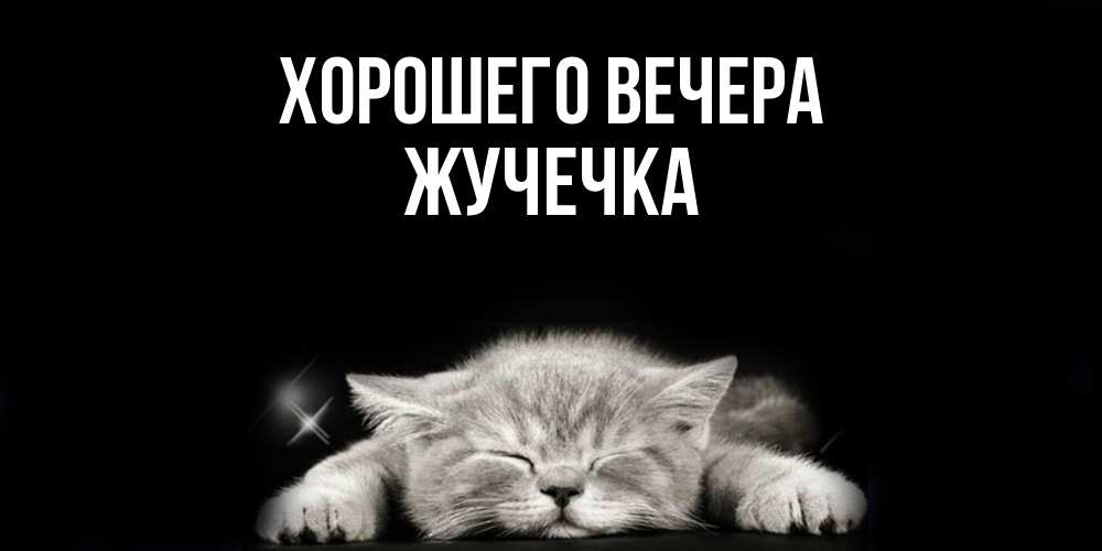 Открытка  для любимых и родных. жучечка, Хорошего вечера  