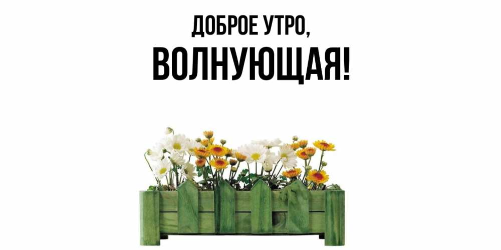 Картинка Доброе утро, волнующая