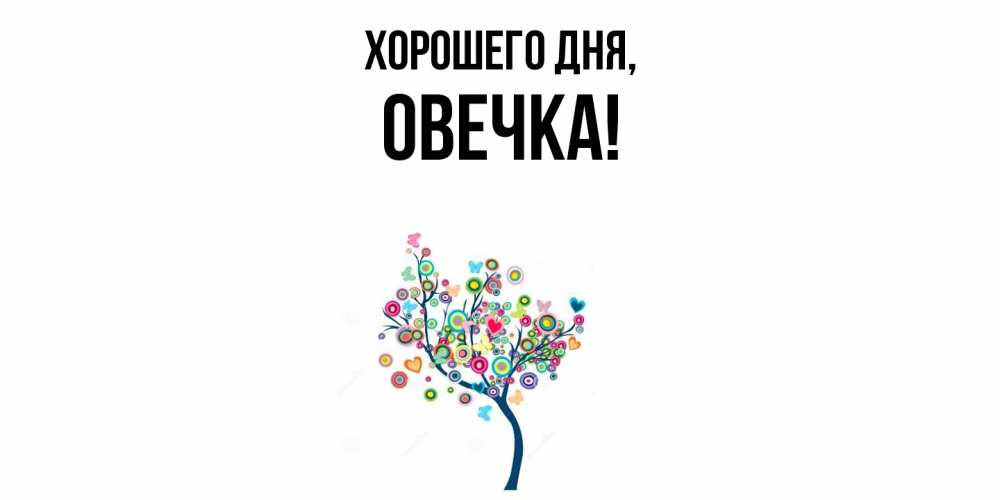 Картинка Хорошего дня, овечка