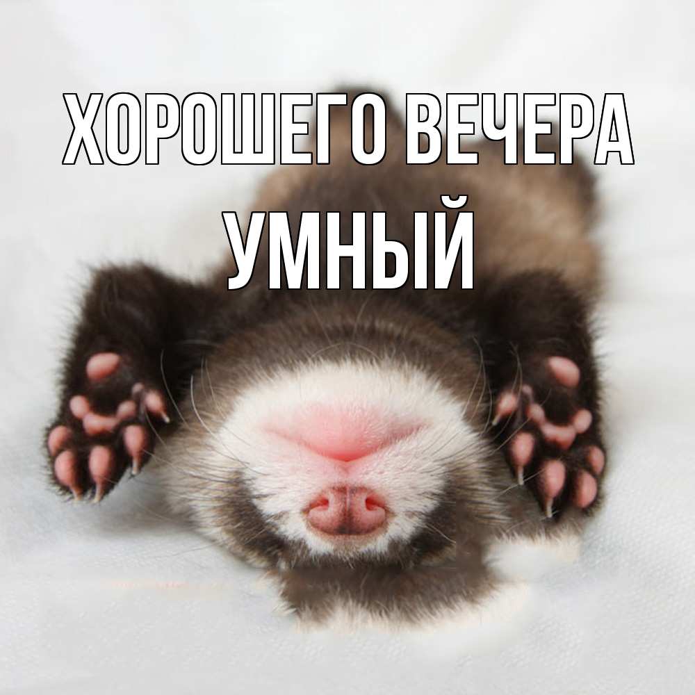 Открытка с именем, умный, Хорошего вечера