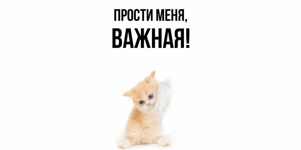 Открытка  для любимых и родных. важная, Прости меня  
