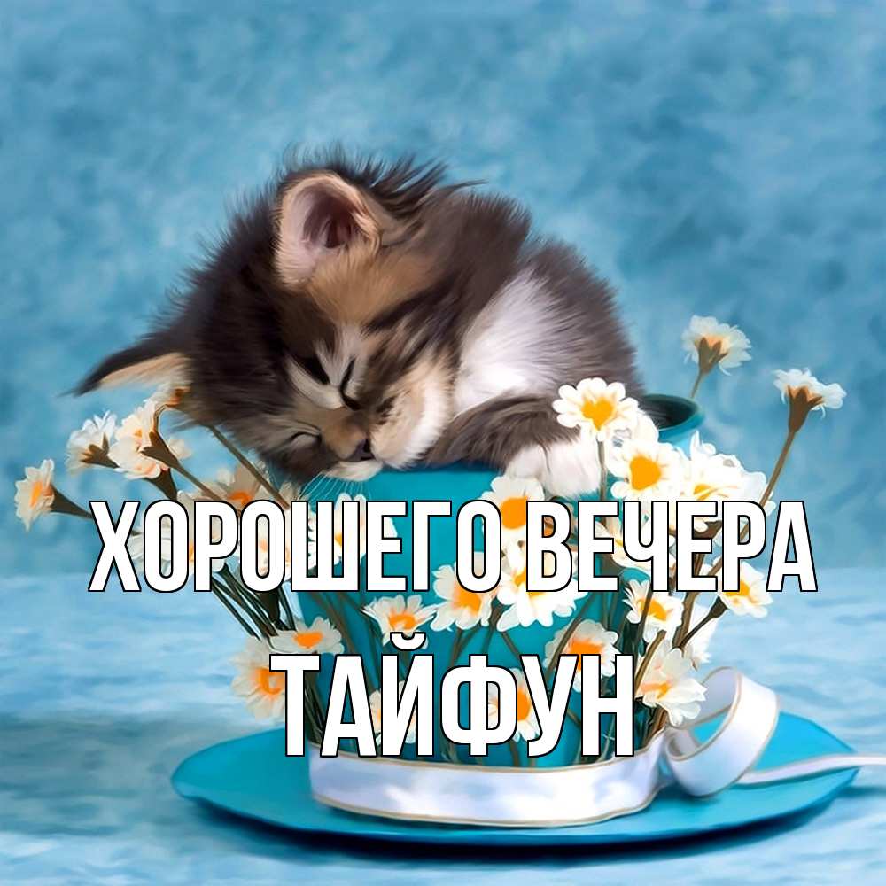 Картинка Хорошего вечера, тайфун