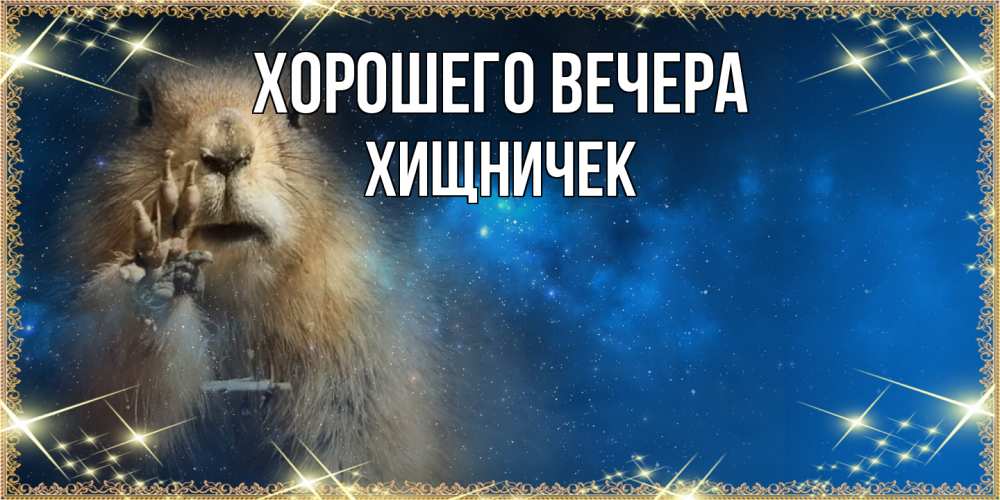 Картинка Хорошего вечера, хищничек