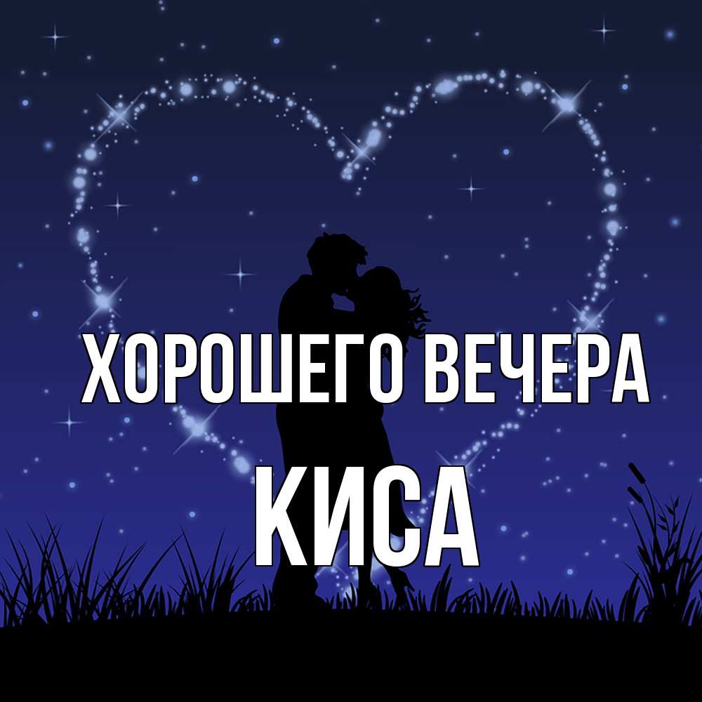 Открытка  для любимых и родных. киса, Хорошего вечера  