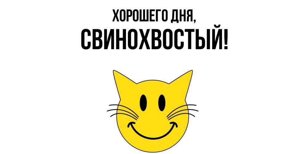 Открытка  для любимых и родных. свинохвостый, Хорошего дня  