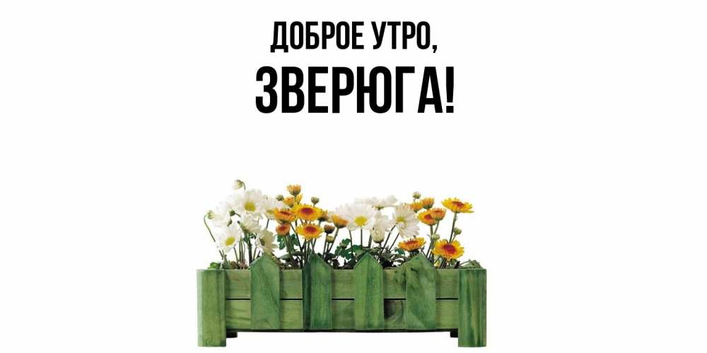 Открытка  для любимых и родных. зверюга, Доброе утро  