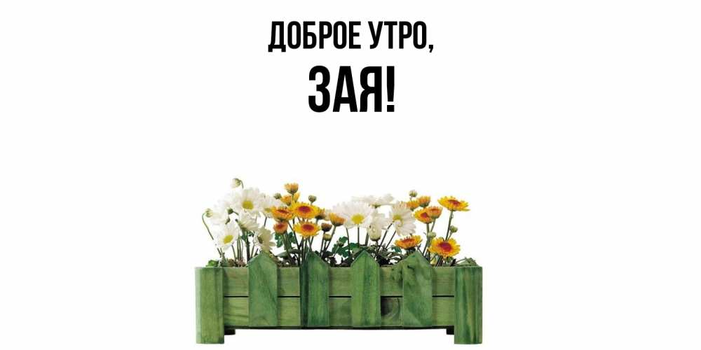 Открытка с именем, зая, Доброе утро