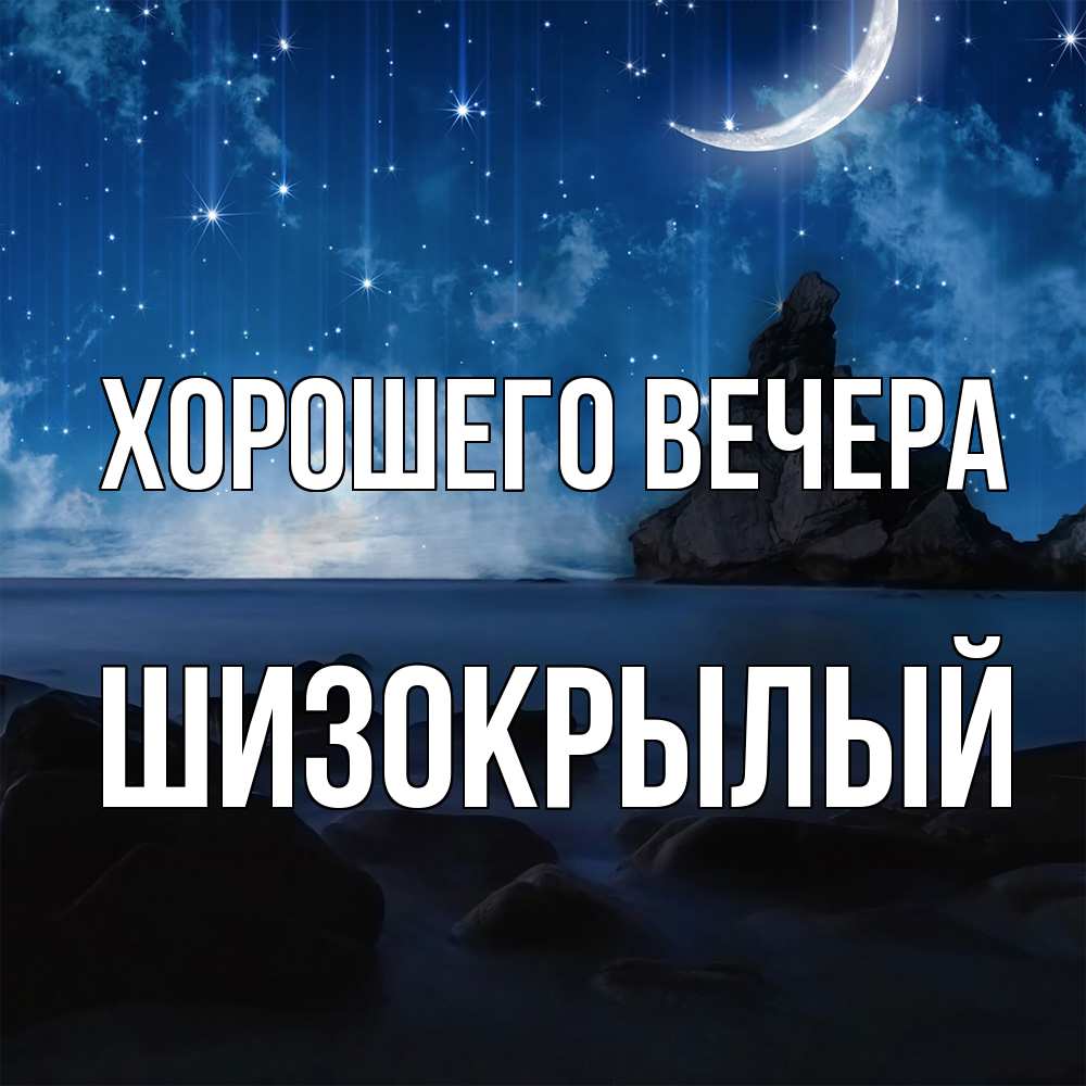 Открытка  для любимых и родных. шизокрылый, Хорошего вечера  