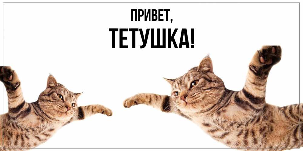 Открытка с именем, Тетушка, Привет