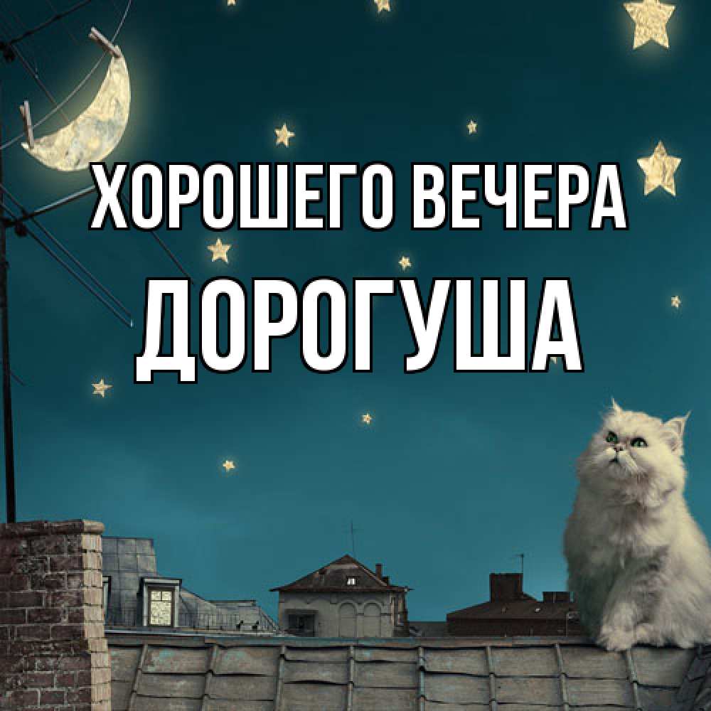 Картинка Хорошего вечера, дорогуша