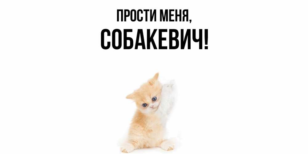Открытка с именем, собакевич, Прости меня