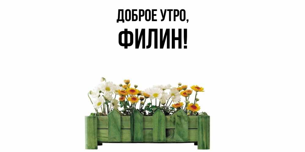 Открытка с именем, филин, Доброе утро