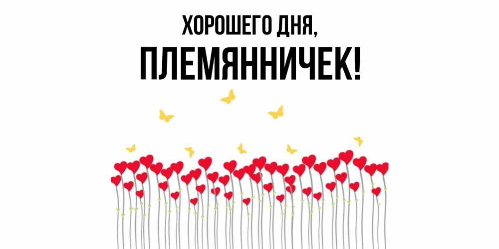 Открытка  для любимых и родных. Племянничек, Хорошего дня  