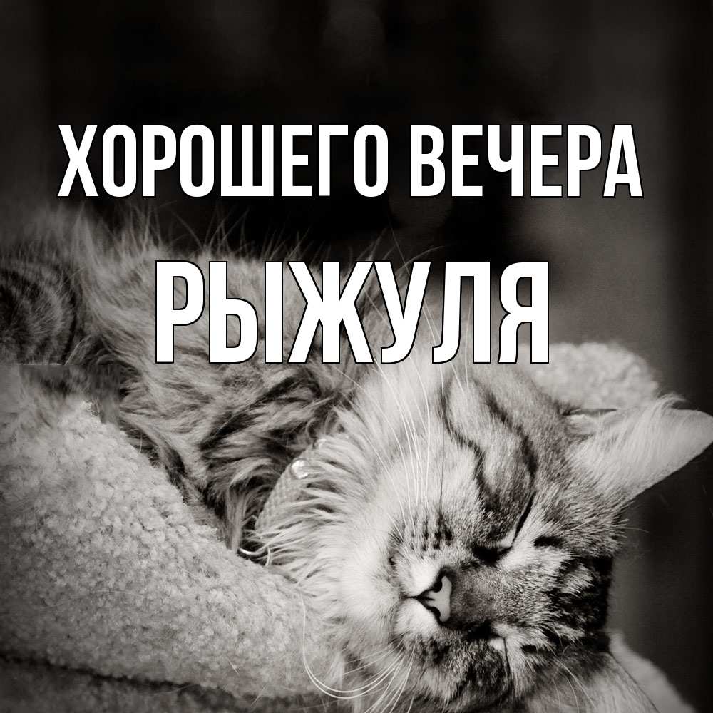 Картинка Хорошего вечера, рыжуля