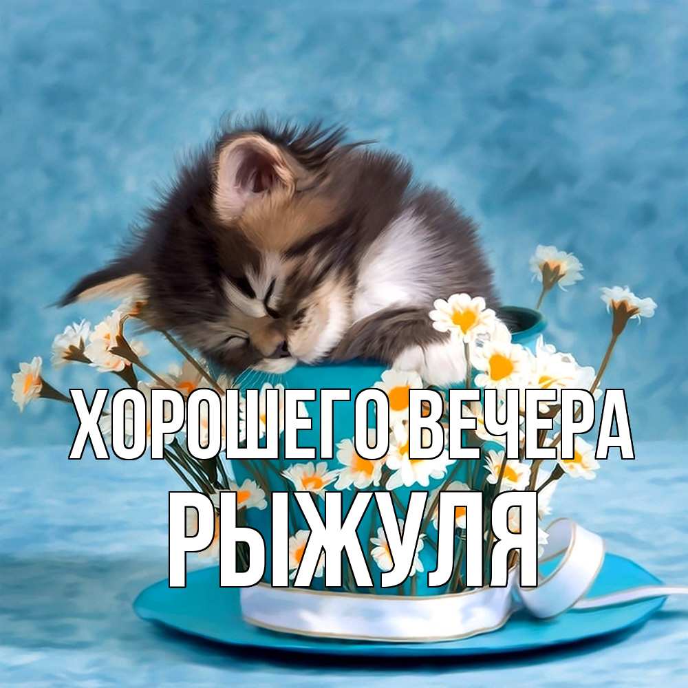 Картинка Хорошего вечера, рыжуля
