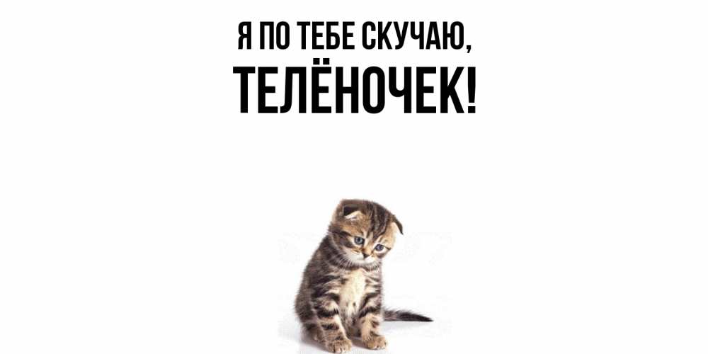 Открытка  для любимых и родных. телёночек, Я по тебе скучаю  