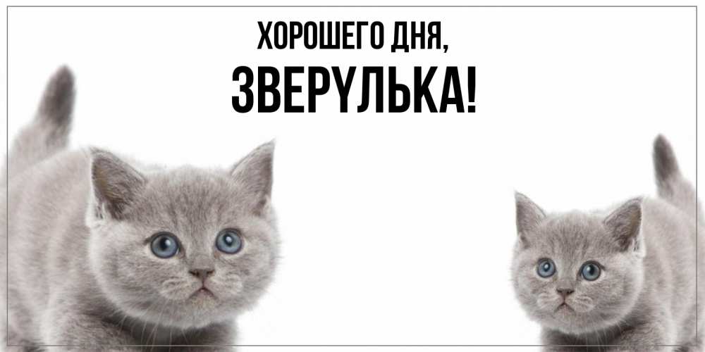 Открытка  для любимых и родных. звеpyлька, Хорошего дня  