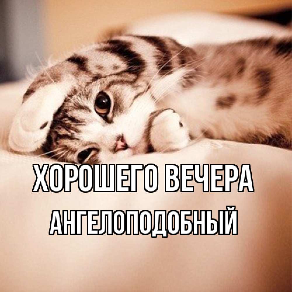 Открытка  для любимых и родных. ангелоподобный, Хорошего вечера  