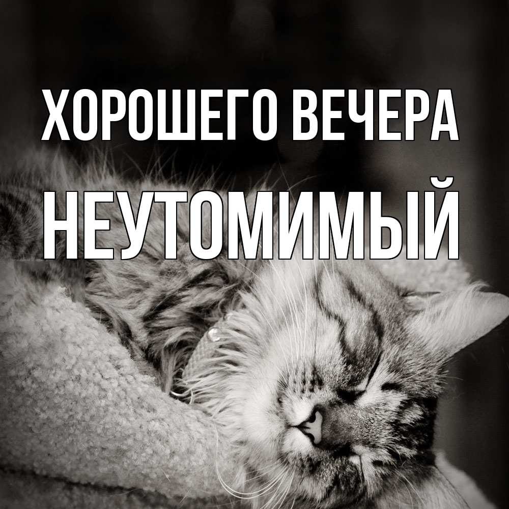 Картинка Хорошего вечера, неутомимый