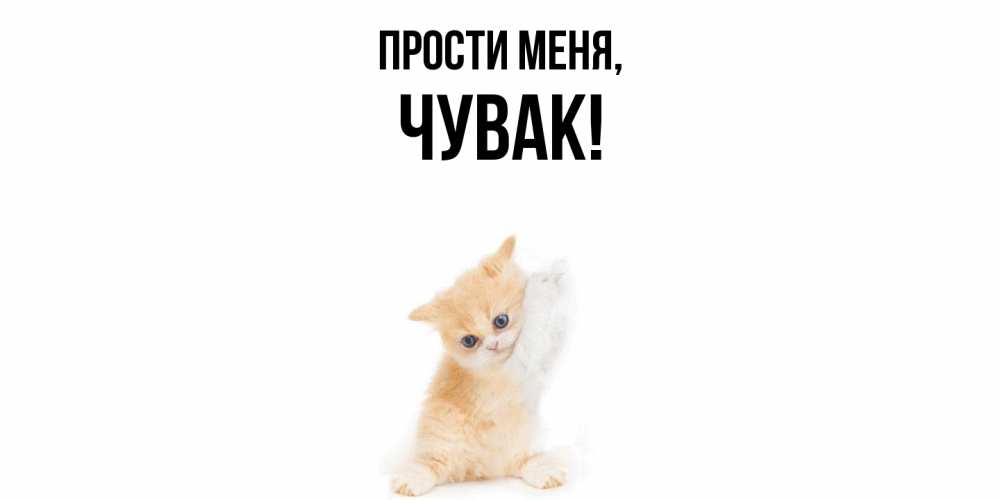 Открытка  для любимых и родных. Чувак, Прости меня  