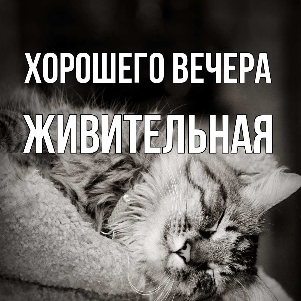 Открытка  для любимых и родных. живительная, Хорошего вечера  