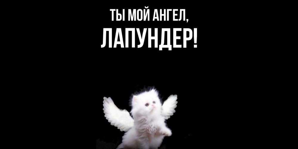 Открытка  для любимых и родных. лапундер, Ты мой ангел  