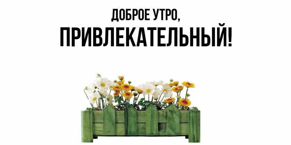 Открытка  для любимых и родных. привлекательный, Доброе утро  