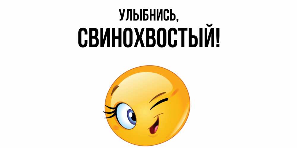 Открытка  для любимых и родных. свинохвостый, Улыбнись  