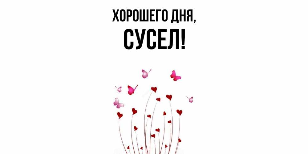 Картинка Хорошего дня, сусел