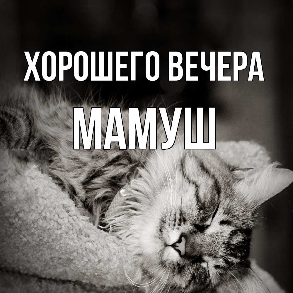 Открытка  для любимых и родных. мамуш, Хорошего вечера  