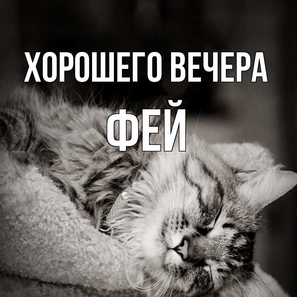 Картинка Хорошего вечера, фей