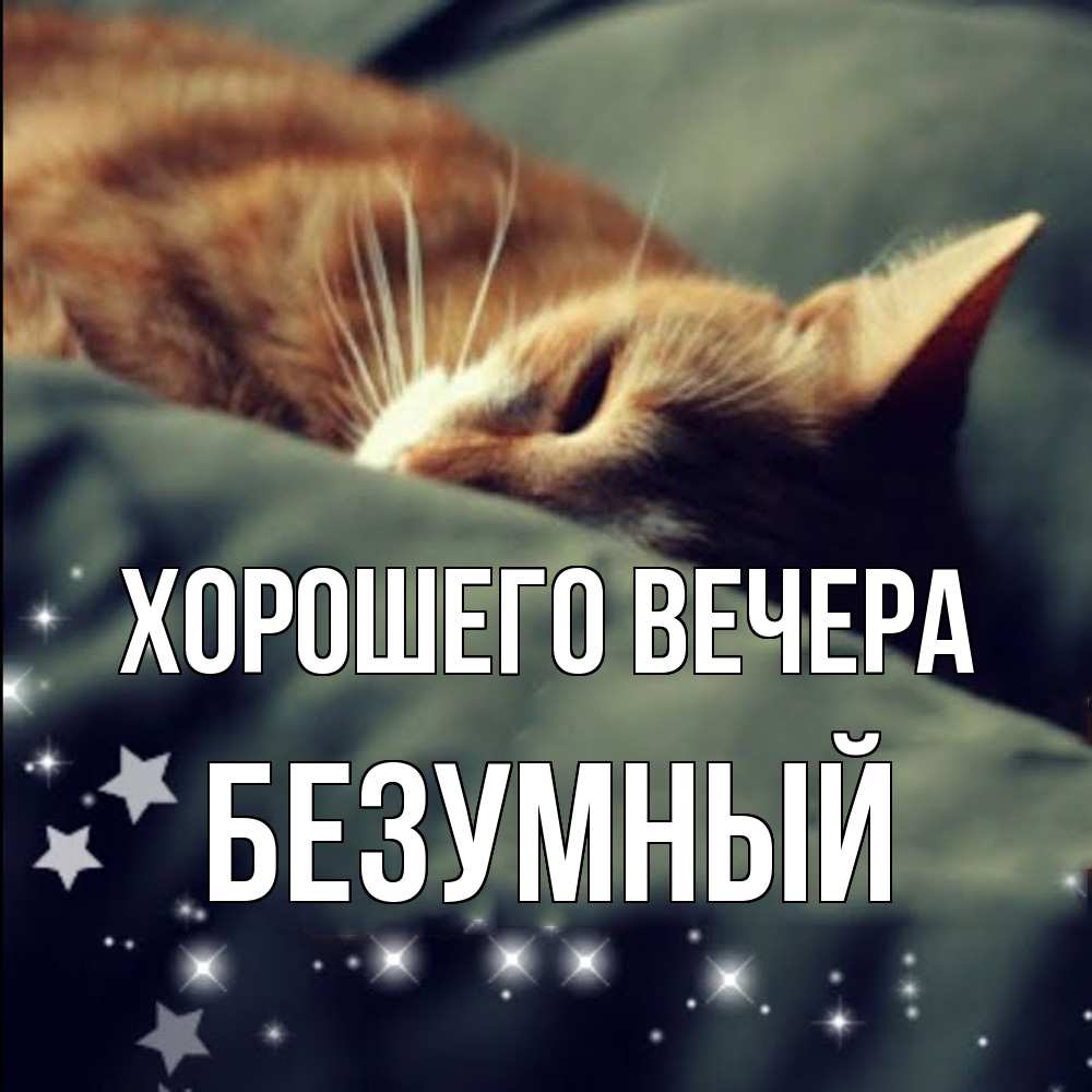 Картинка Хорошего вечера, безумный