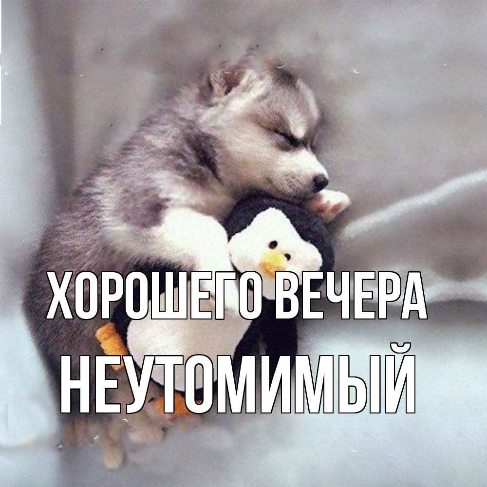 Картинка Хорошего вечера, неутомимый