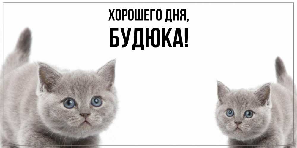Открытка  для любимых и родных. будюка, Хорошего дня  