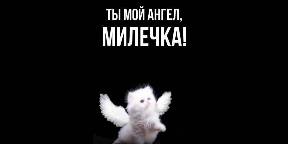 Открытка  для любимых и родных. милечка, Ты мой ангел  