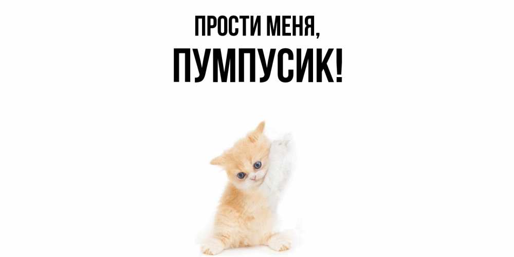 Картинка Прости меня, пумпусик
