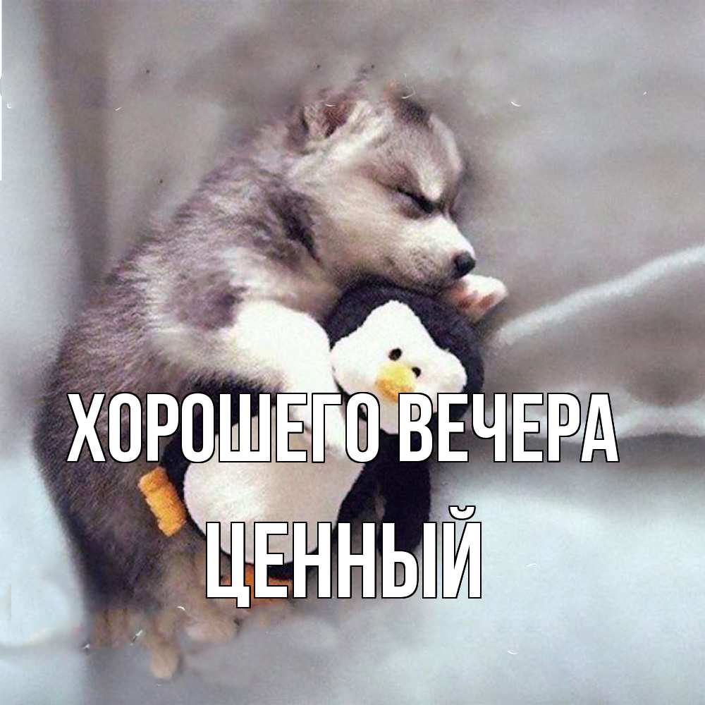 Открытка  для любимых и родных. ценный, Хорошего вечера  