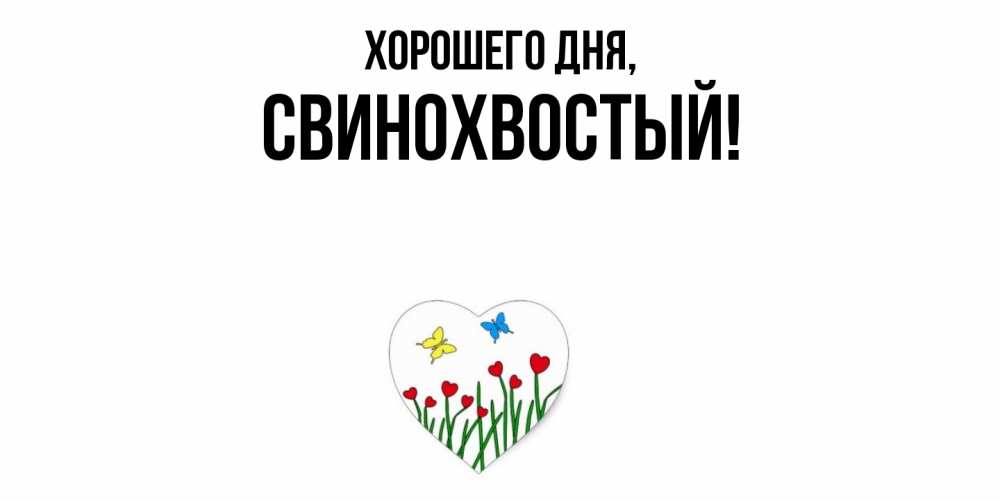 Открытка  для любимых и родных. свинохвостый, Хорошего дня  