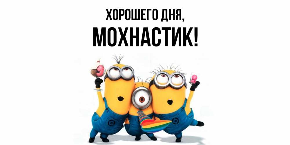 Открытка  для любимых и родных. мохнастик, Хорошего дня  