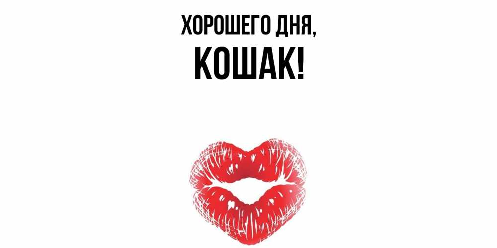 Открытка  для любимых и родных. кошак, Хорошего дня  