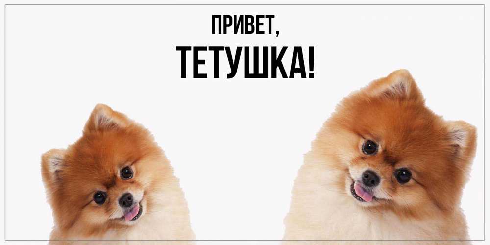 Открытка с именем, Тетушка, Привет