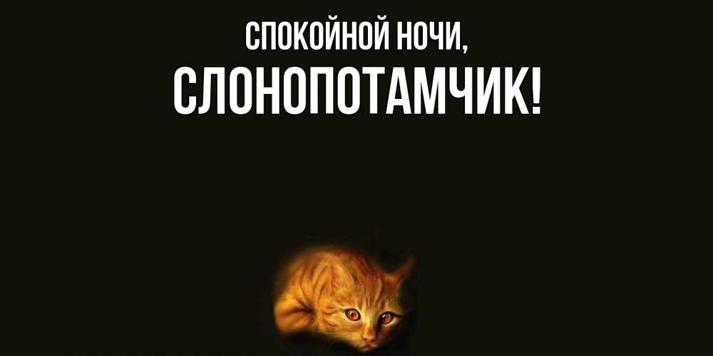 Открытка  для любимых и родных. слонопотамчик, Спокойной ночи  