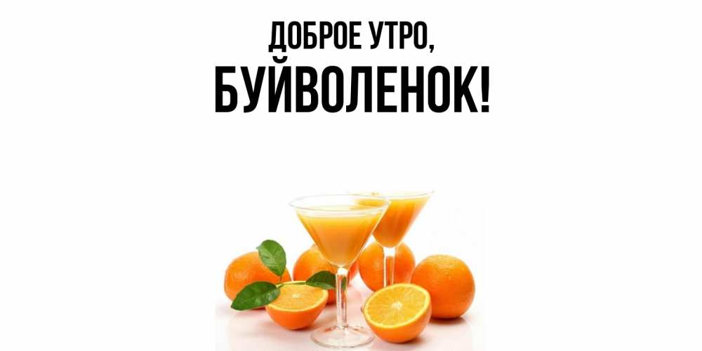 Открытка  для любимых и родных. буйволенок, Доброе утро  