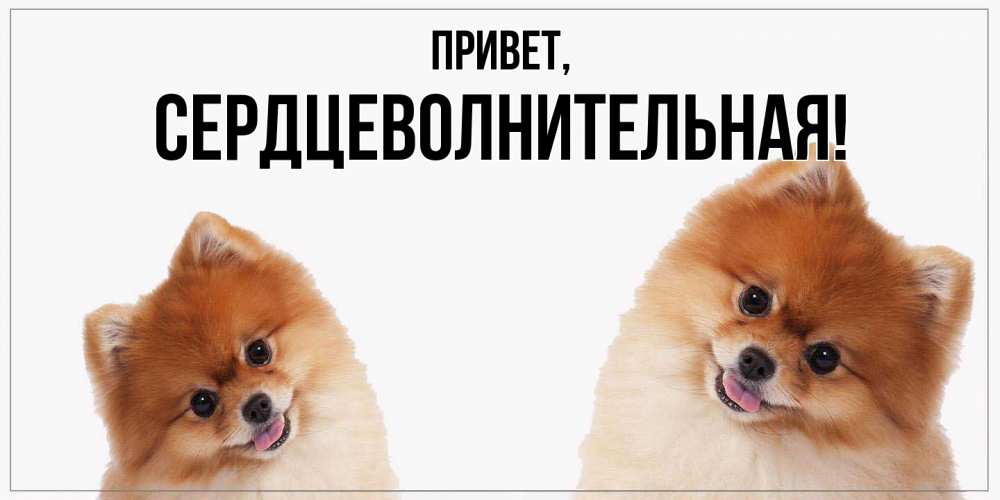 Открытка  для любимых и родных. сердцеволнительная, Привет  