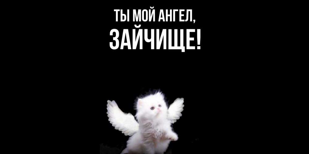 Открытка  для любимых и родных. зайчище, Ты мой ангел  