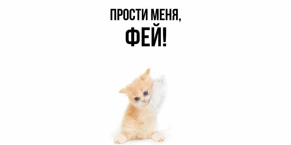 Картинка Прости меня, фей