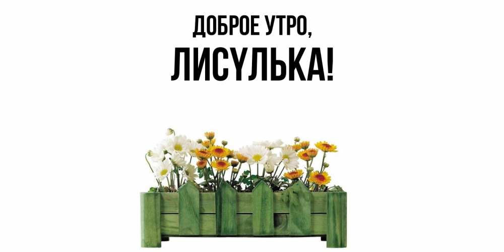 Открытка  для любимых и родных. лисyлька, Доброе утро  